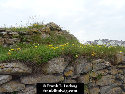 Aran Islands